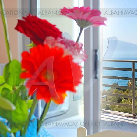 Gdcasevacanza - - * Vlorë